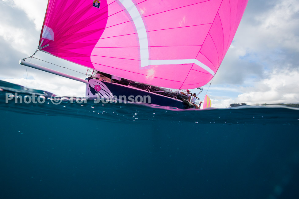 Image Name: N40A6446