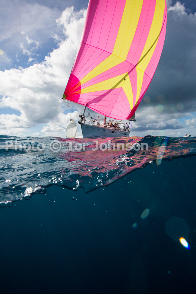 Image Name: N40A6518