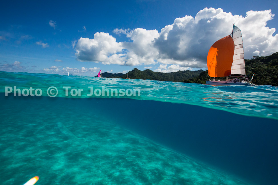 Image Name: N40A6585