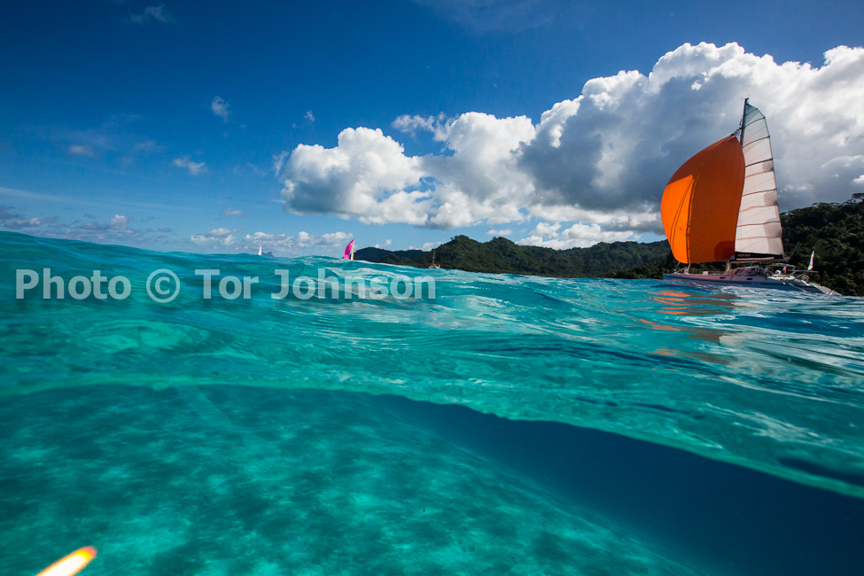 Image Name: N40A6590