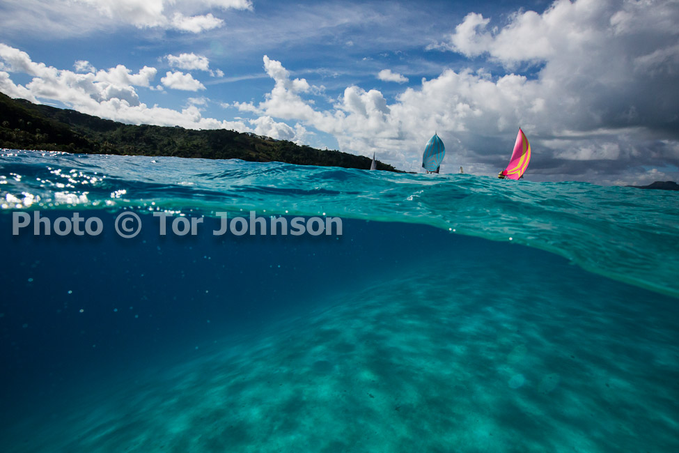 Image Name: N40A6596