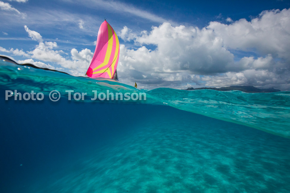 Image Name: N40A6607