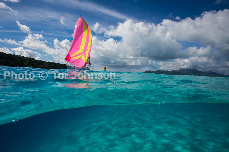 Image Name: N40A6608