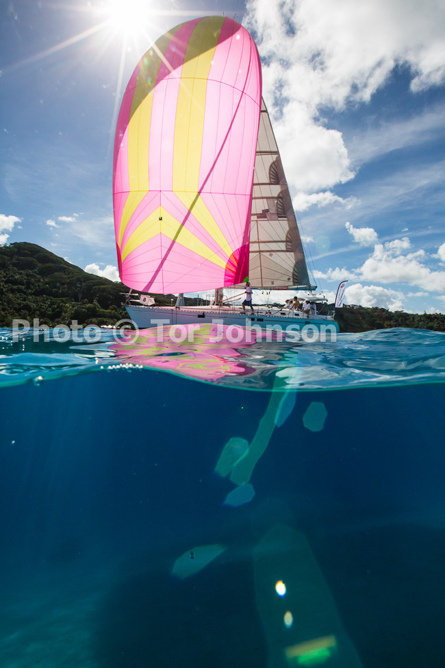 Image Name: N40A6616