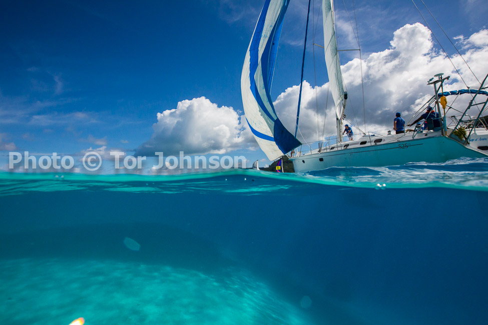 Image Name: N40A6684