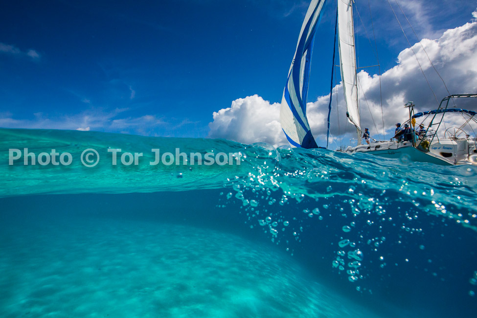 Image Name: N40A6687