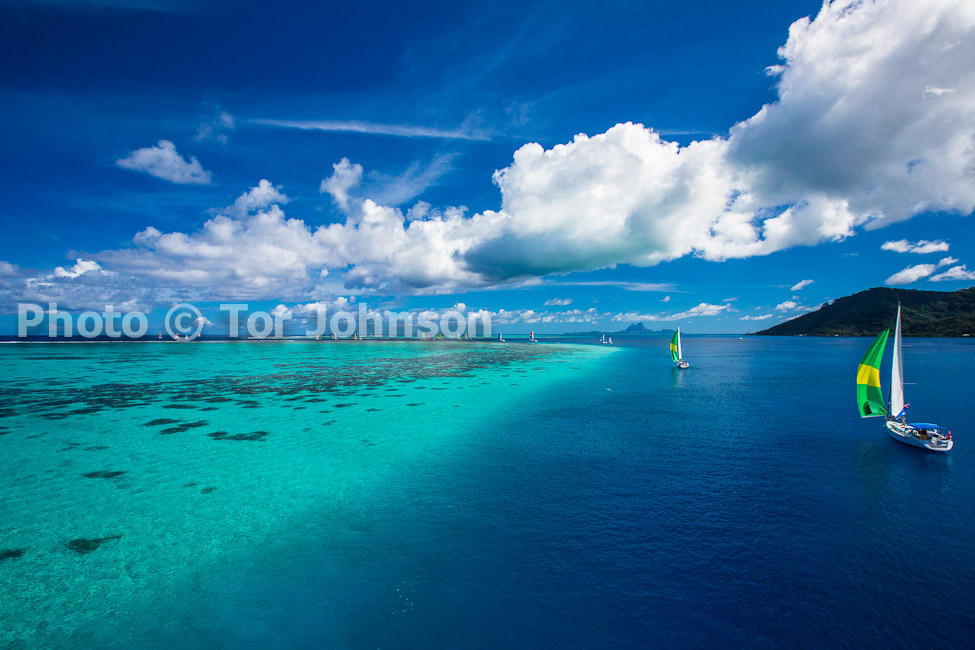 Image Name: N40A6781