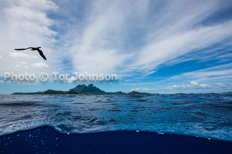 Image Name: N40A6858