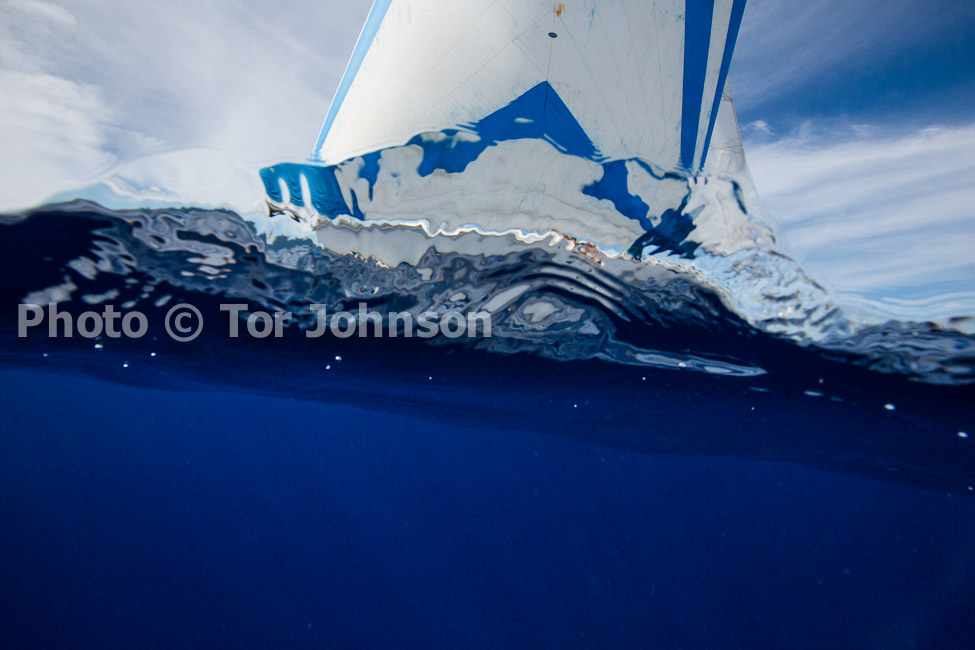 Image Name: N40A6889