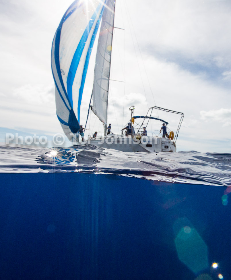 Image Name: N40A6900