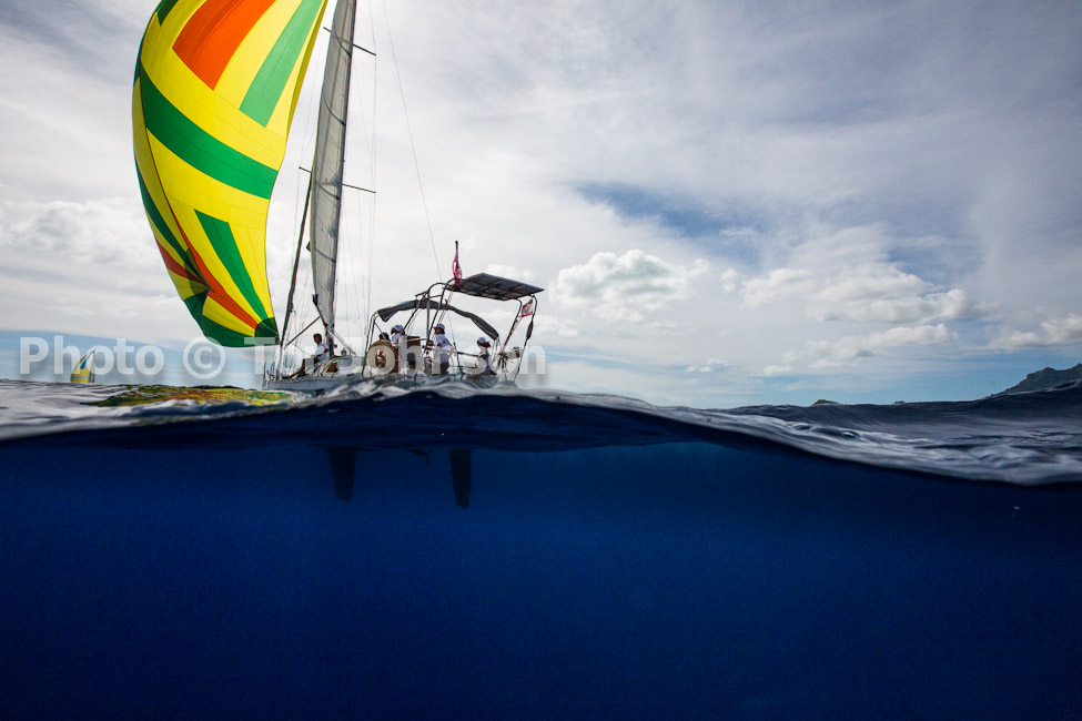 Image Name: N40A6941