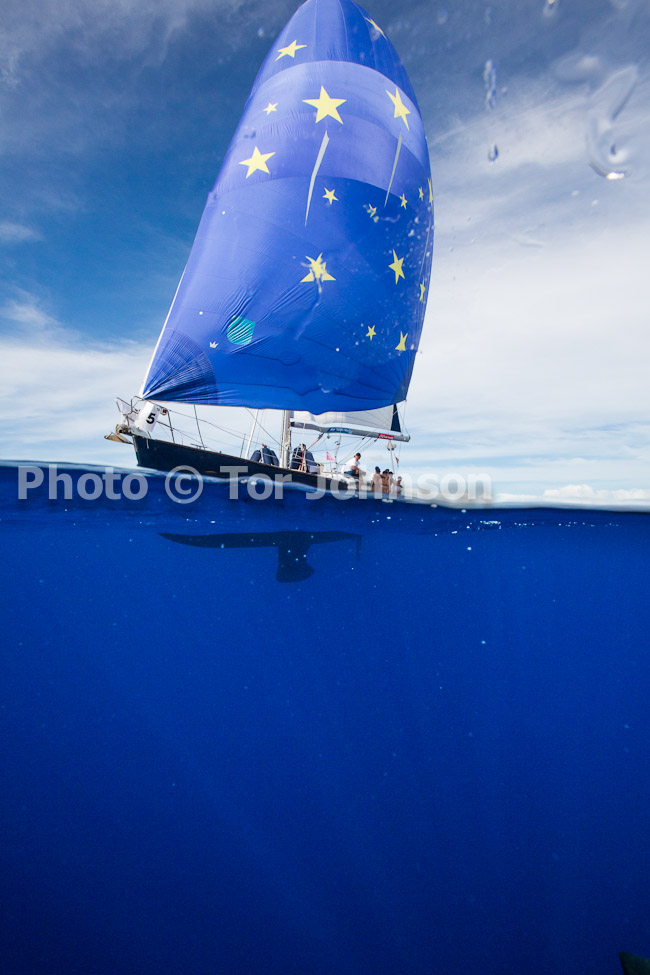 Image Name: N40A6950