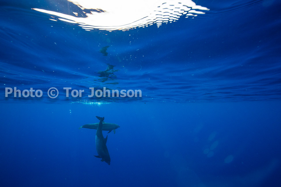 Image Name: N40A6983