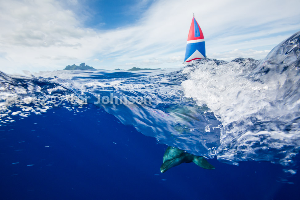 Image Name: N40A6993