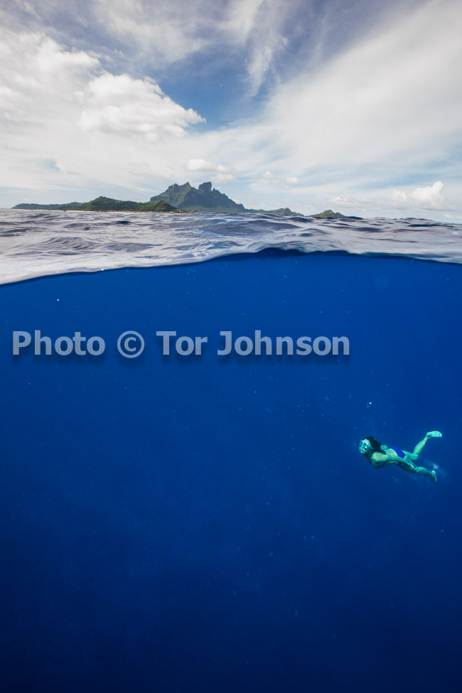 Image Name: N40A7034