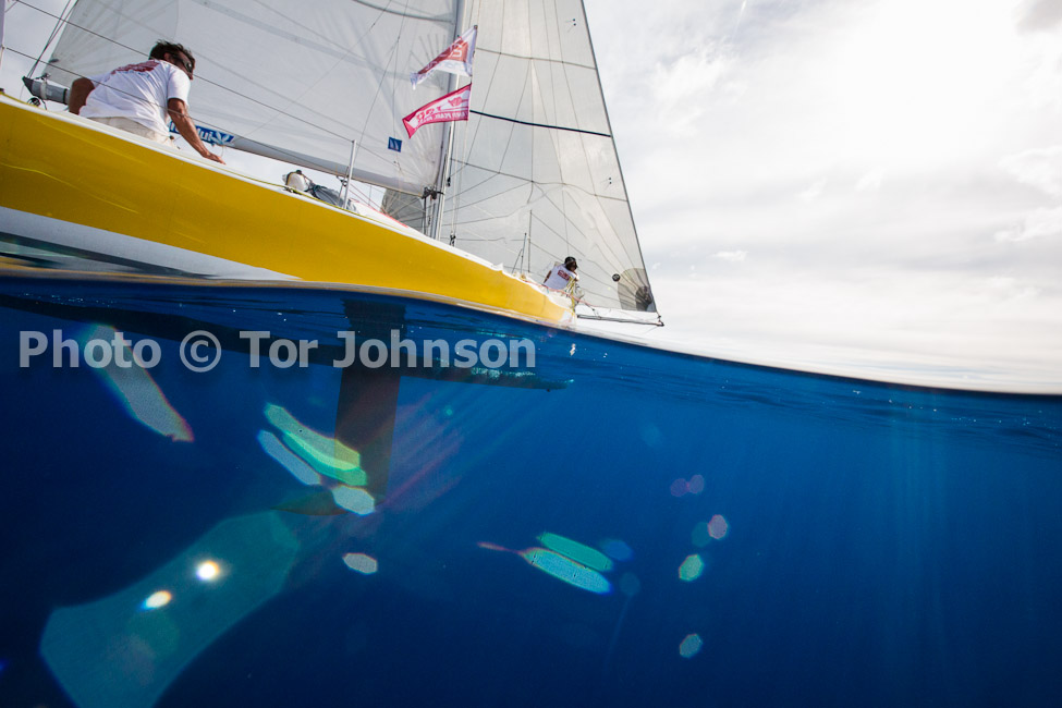 Image Name: N40A7056