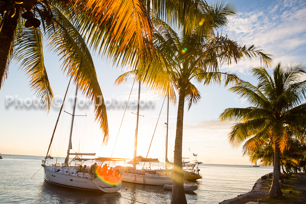 Image Name: N40A8401