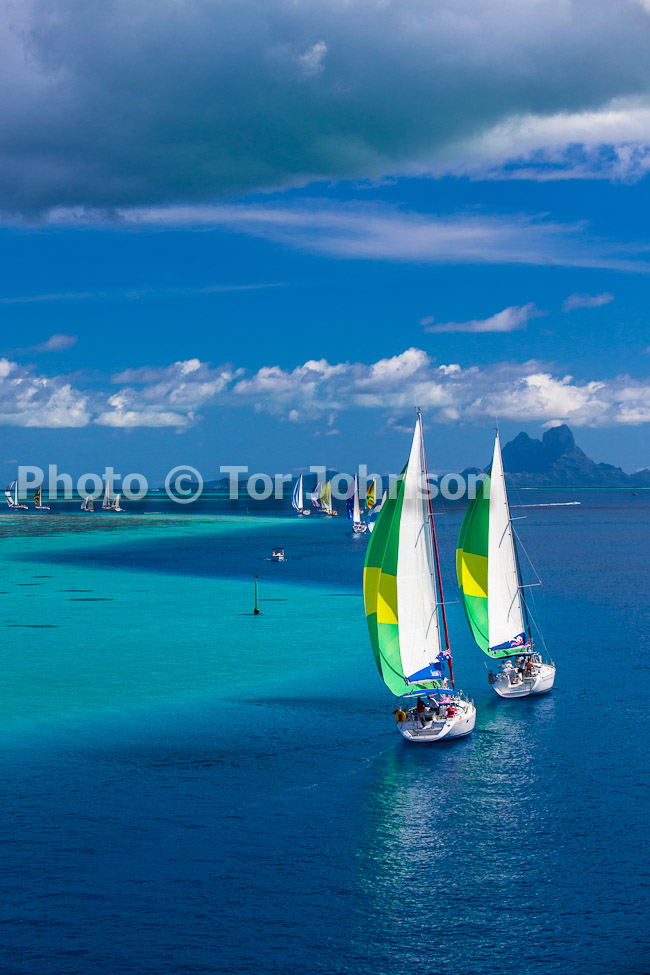 Image Name: _MG_4950