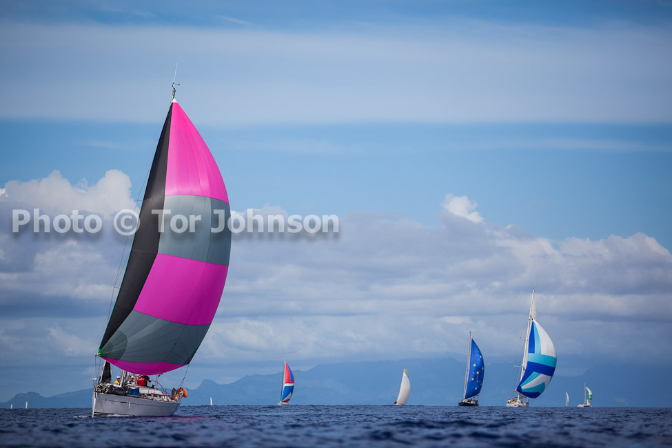 Image Name: _MG_5016