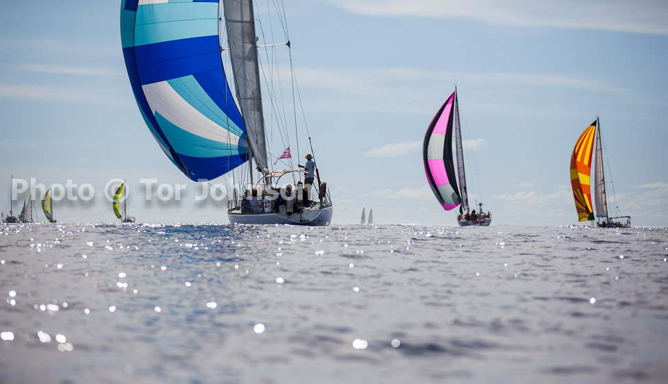 Image Name: _MG_5029