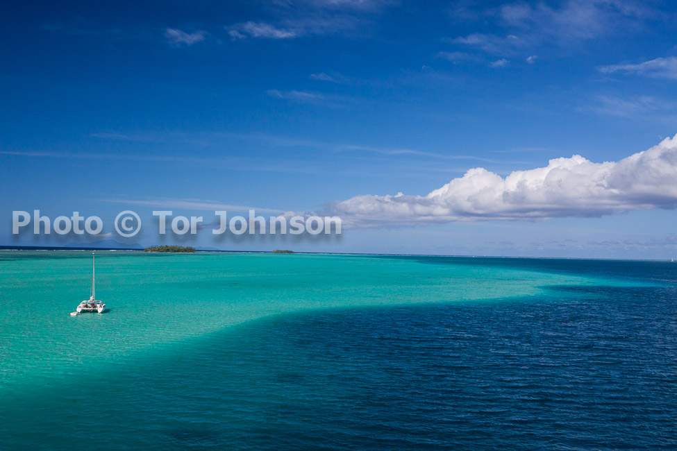 Image Name: _MG_5603