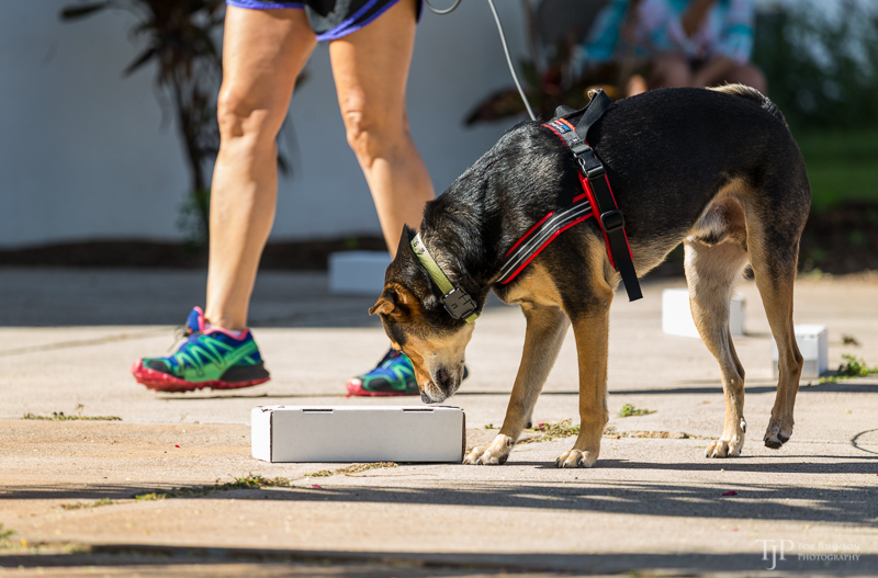 Image Name: _23A6628