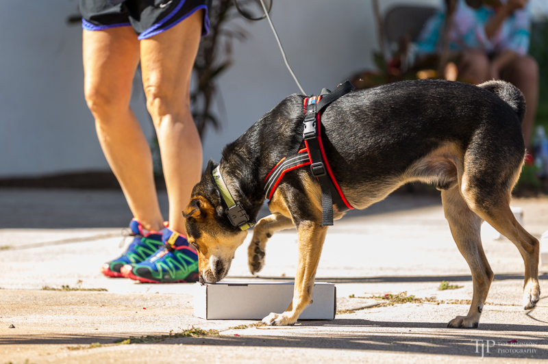 Image Name: _23A6629