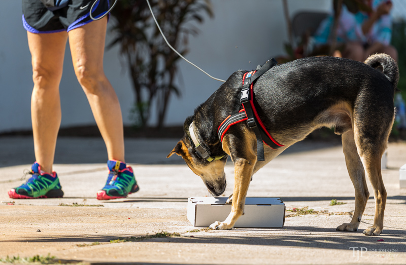 Image Name: _23A6630