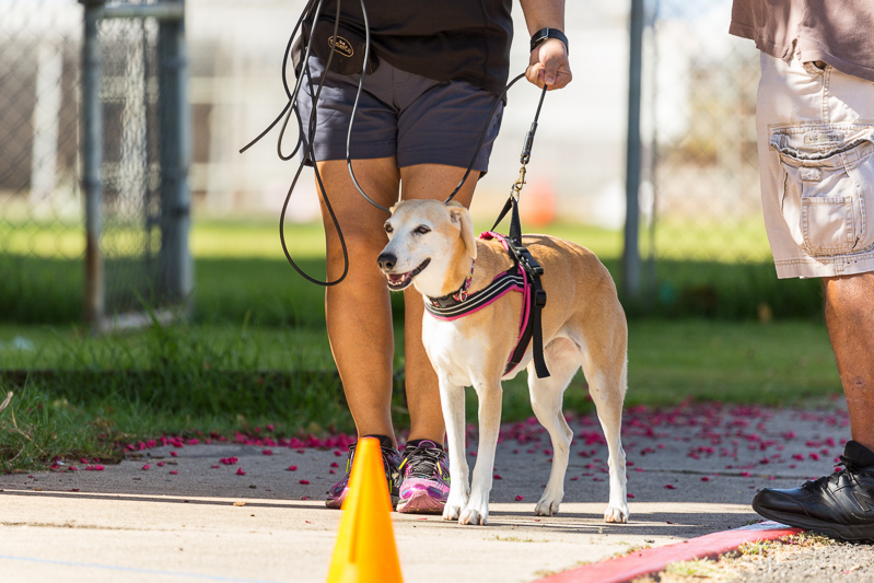 Image Name: _23A6637