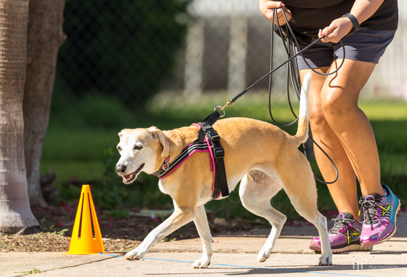 Image Name: _23A6639