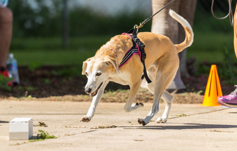 Image Name: _23A6640