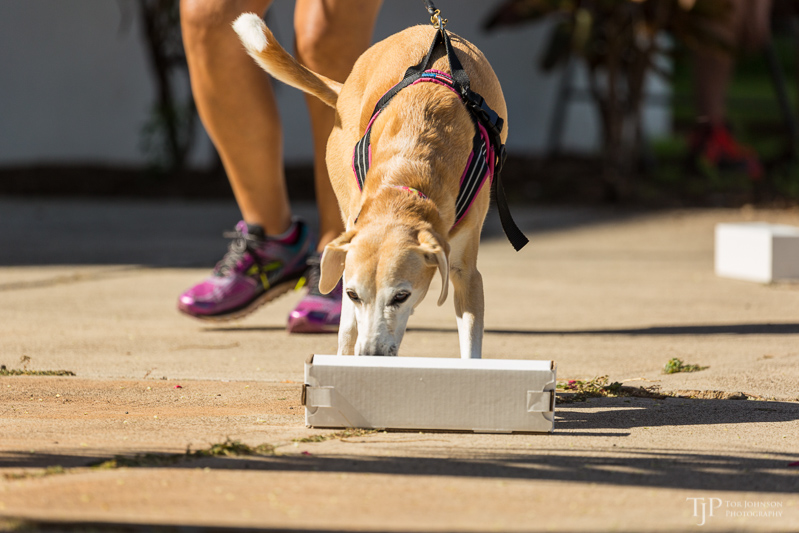 Image Name: _23A6642