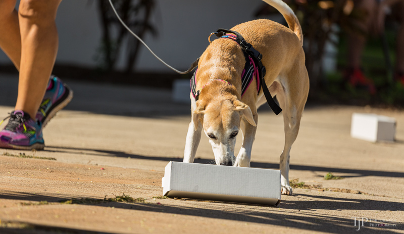 Image Name: _23A6643