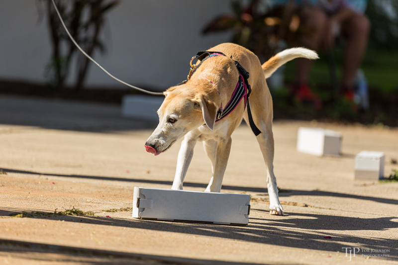 Image Name: _23A6645