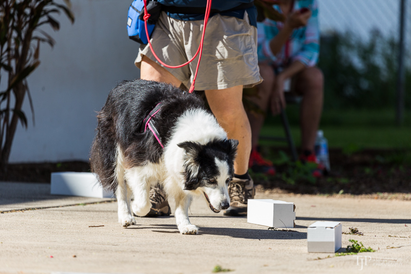 Image Name: _23A6664