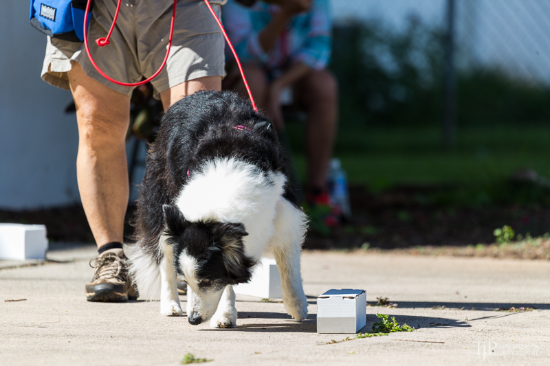 Image Name: _23A6665