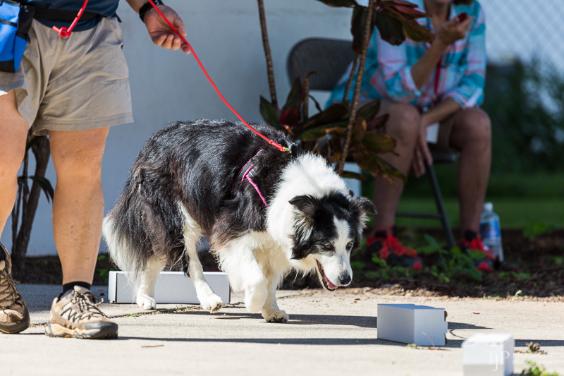 Image Name: _23A6668