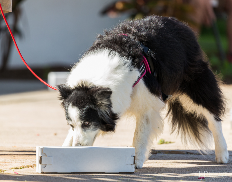 Image Name: _23A6670