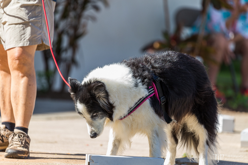 Image Name: _23A6671