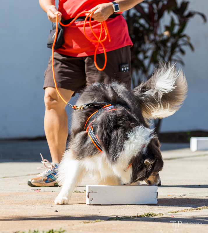 Image Name: _23A6679