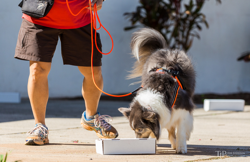 Image Name: _23A6682