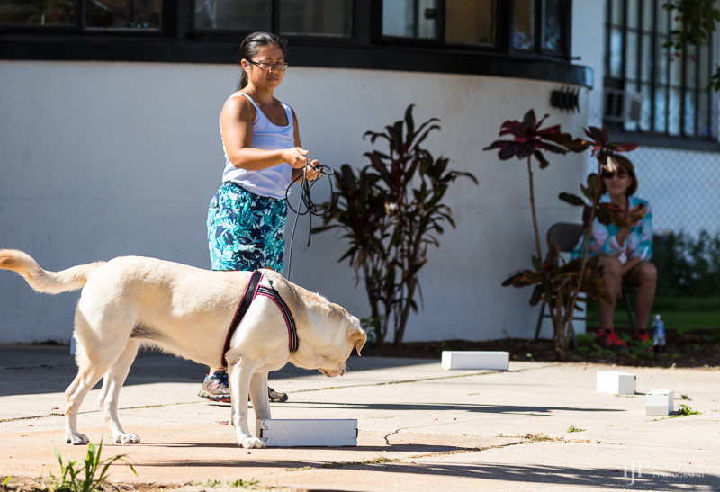 Image Name: _23A6696