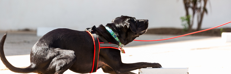 Image Name: _23A6714