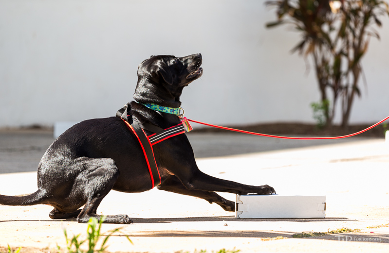 Image Name: _23A6715