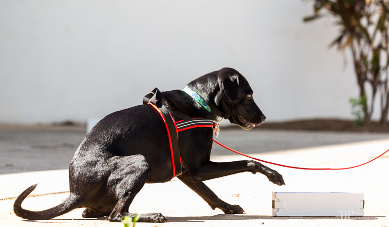 Image Name: _23A6716