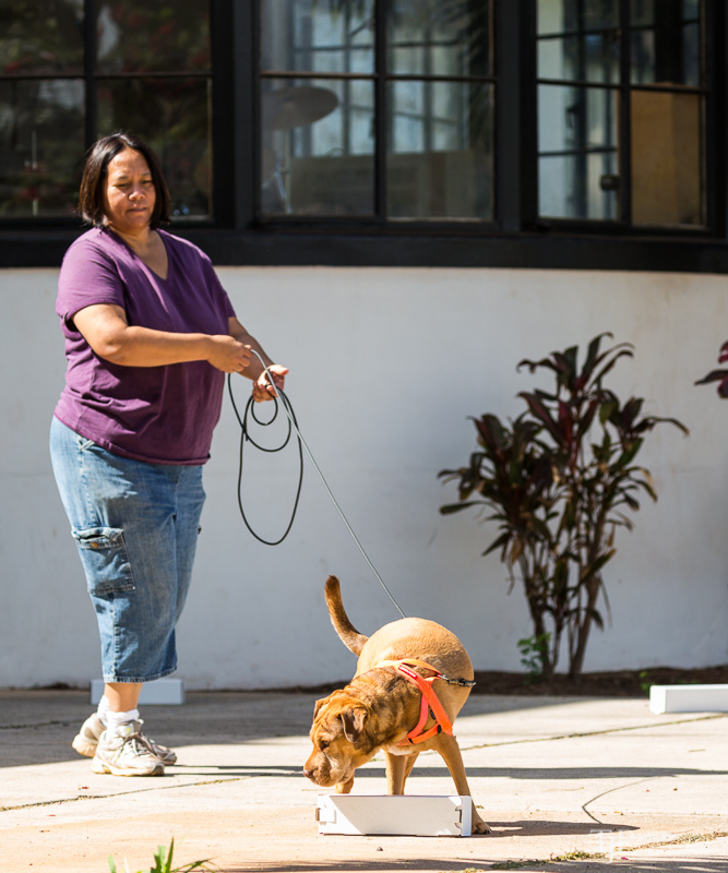 Image Name: _23A6724