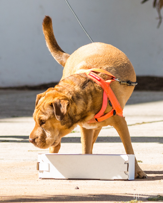 Image Name: _23A6724