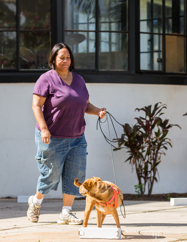 Image Name: _23A6725