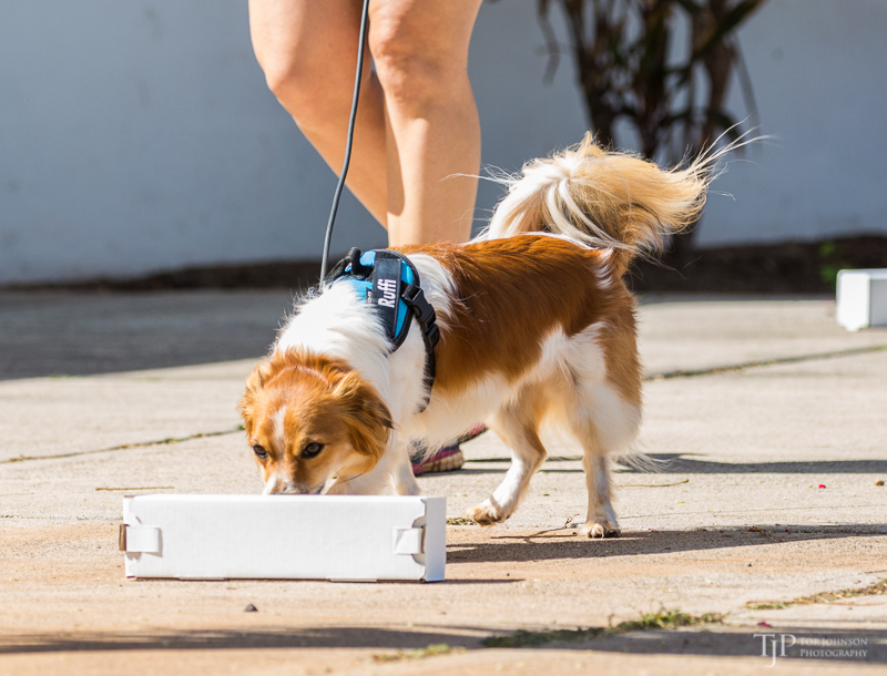 Image Name: _23A6729