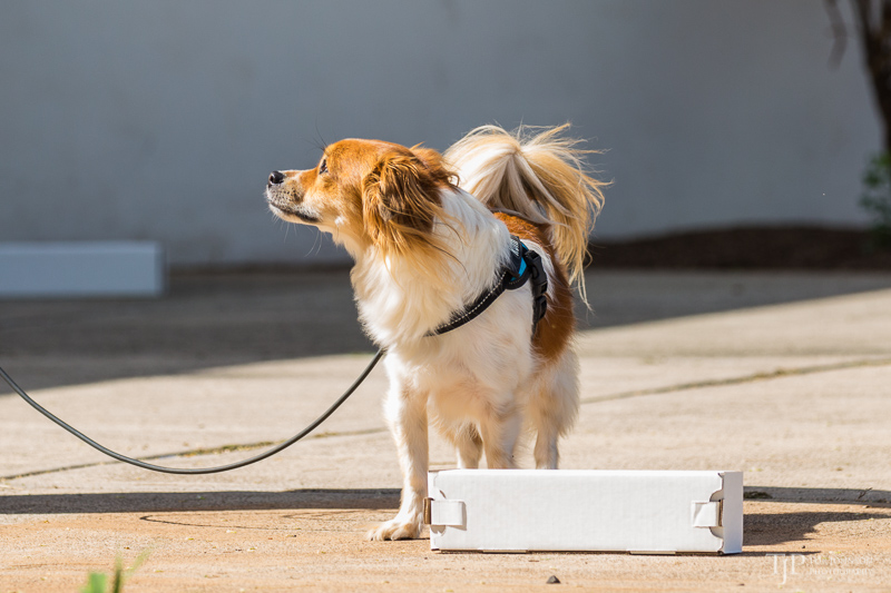 Image Name: _23A6730